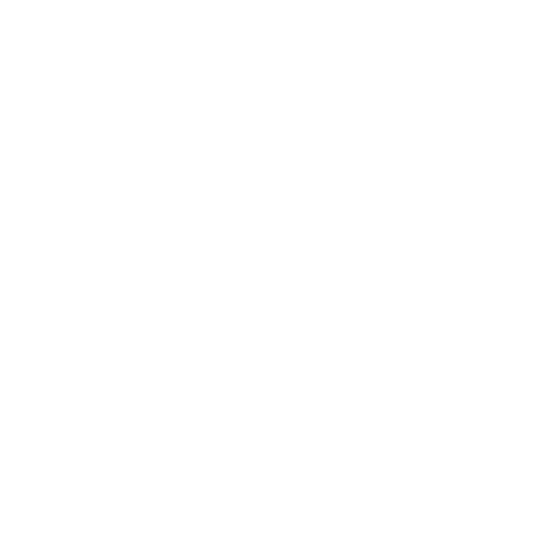 seta